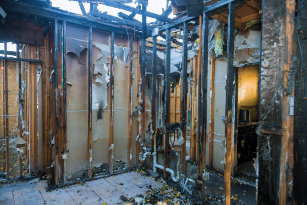 Professional Fire Damage Removal technician working in Preston, TX